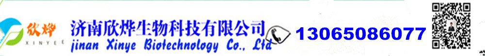 N-甲基吡咯烷酮,对苯醌,对苯二酚,氧化苯乙烯,苯乙酮,间苯二甲醚,环戊酮_济南欣烨生物